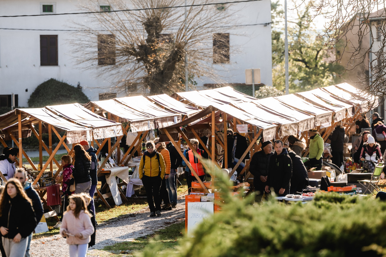 Praznik Wines v Štanjelu | Workshop | Štanjel | Events | Image #1