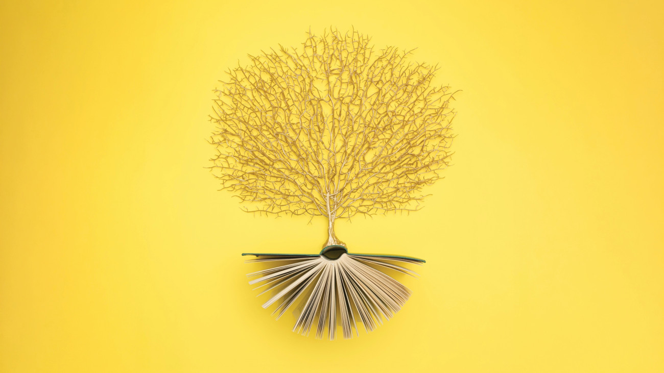 Literarne ekokrajine: dr. Robert Brus | Presentazione | Lubiana | Eventi | Foto #1