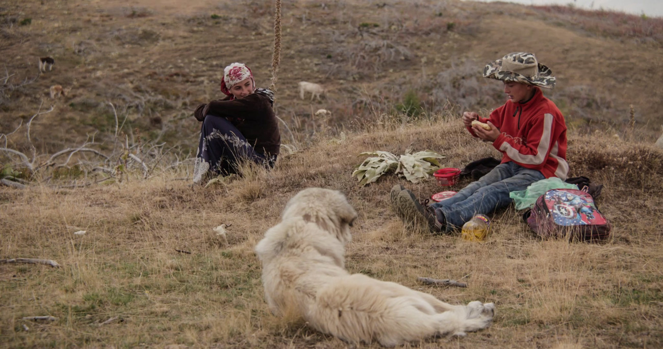 Berg se ne bo premaknila | Ferien Preveri | Ljubljana | Veranstaltungen | Foto #1