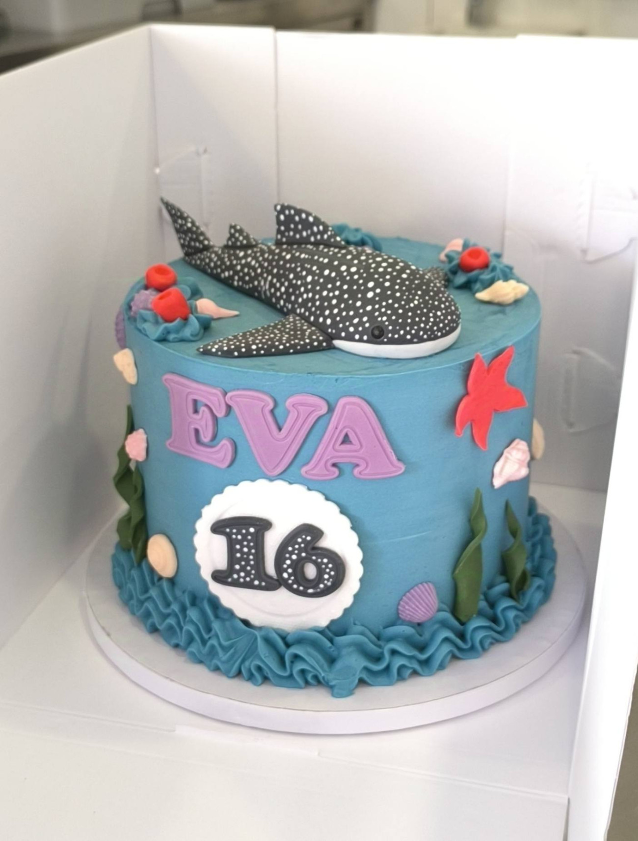 Cake Morski pes (Eva), Otroški rojstni dan, kupiti online