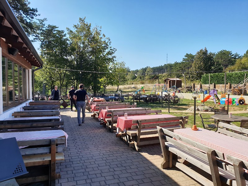 Na Burji Kozina,   | Kozina | Slovenia | Foto #1