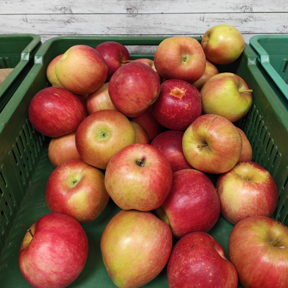 Jabolko Idared, Sadje in zelenjava, kupiti online