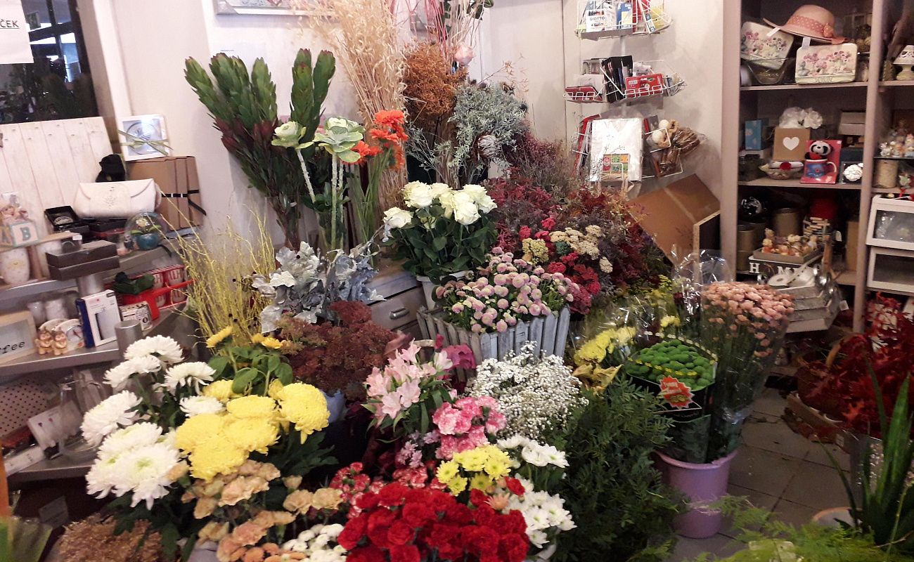 Flower shop IRIA,   | Dutovlje | Slovenia | Image #3