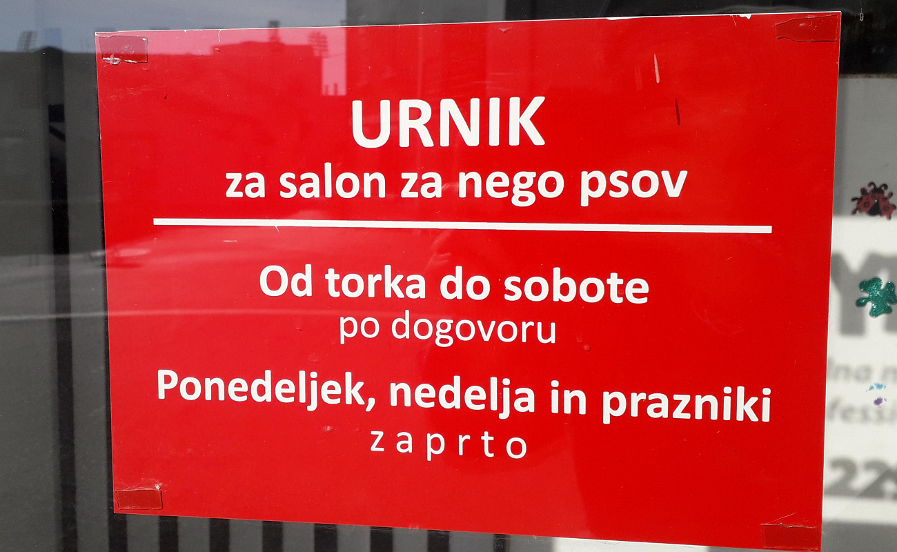 Salon za živali DoggyLand,   | Sežana | Slovenija | Slika #3