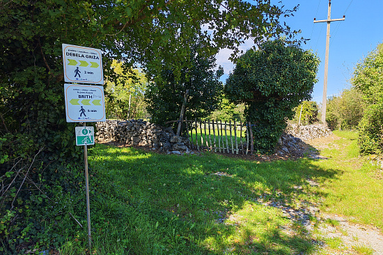 Gradišče Debela Griža |  Gorjansko |  Slovenia