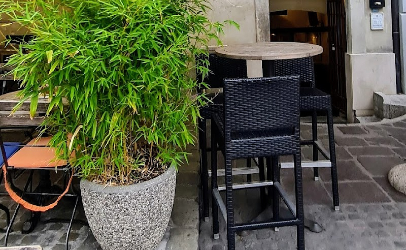 Daktari,   | Ljubljana | Slovenija | Slika #1