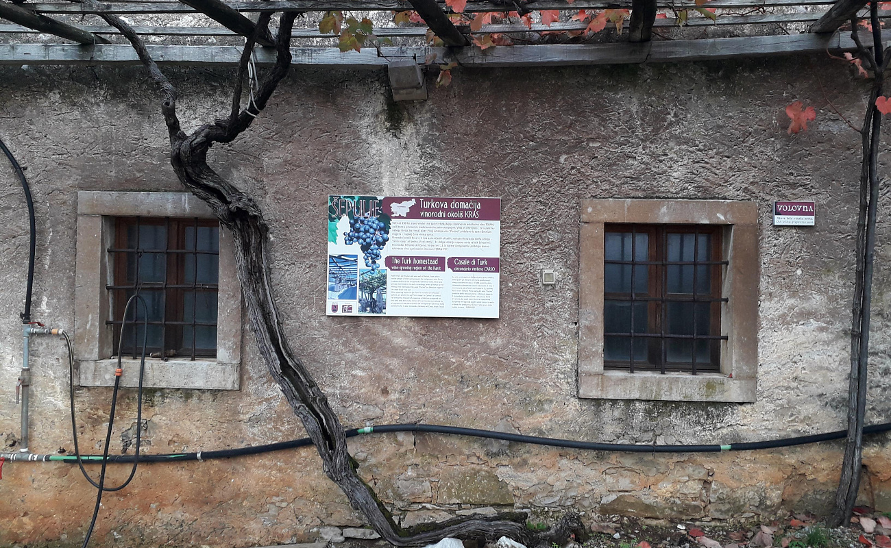 Turkova Fattoria / Tenuta di campagna v Šepuljah,   | Šepulje | Slovenia | Foto #1