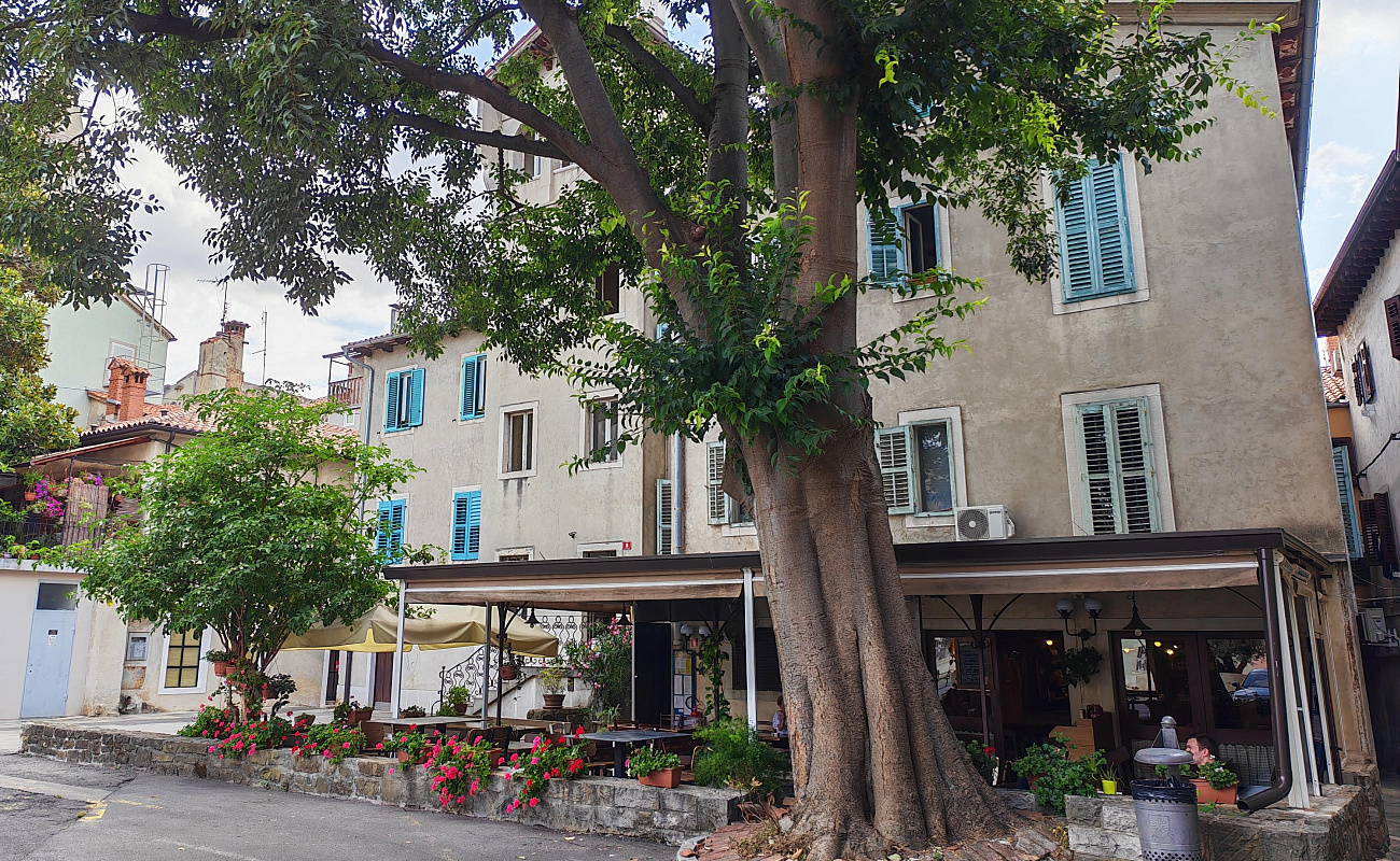 Pizzeria Atrij,   | Koper | Slowenien | Foto #5