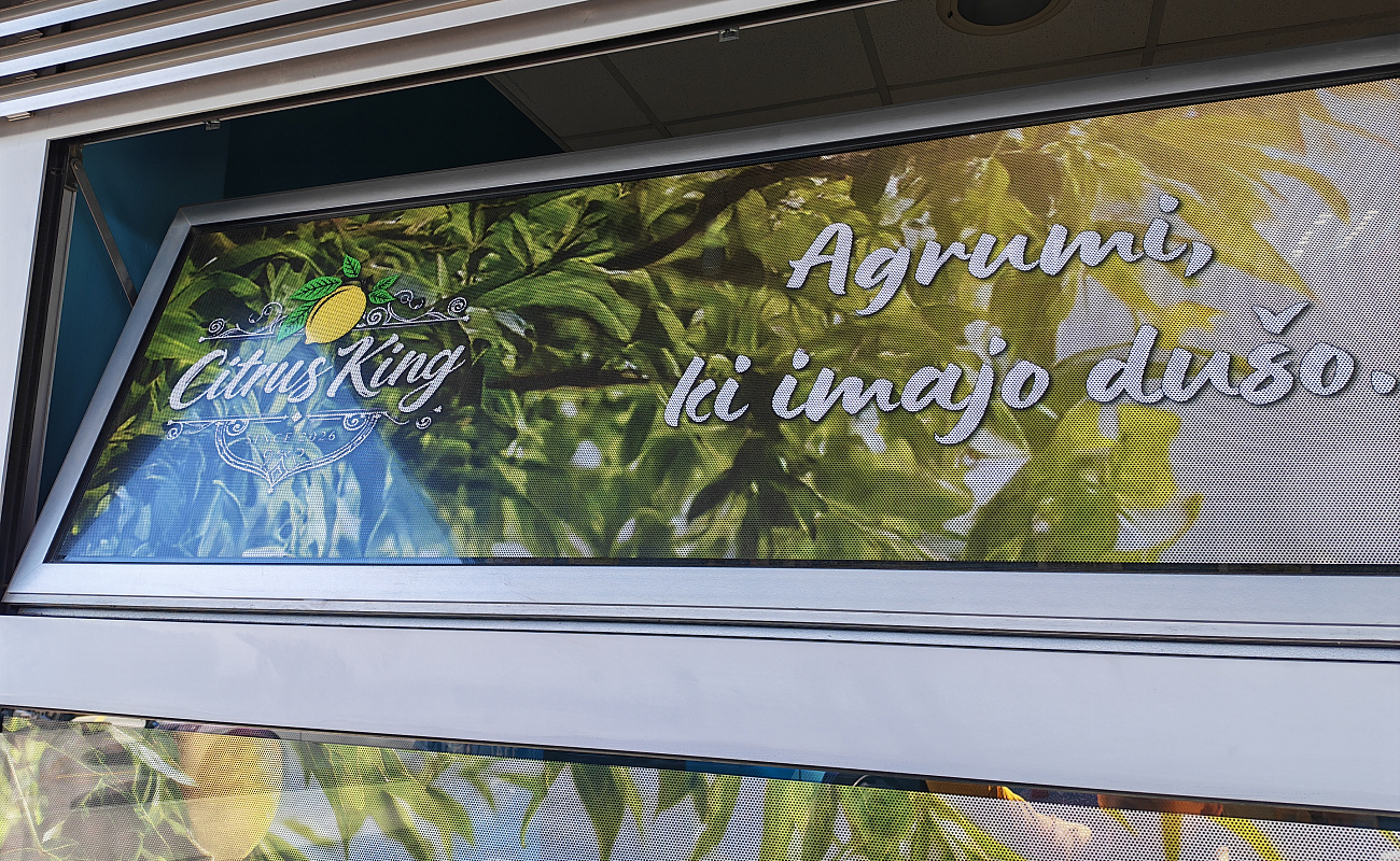 Citrus King,   | Sežana | Slovenia | Image #1