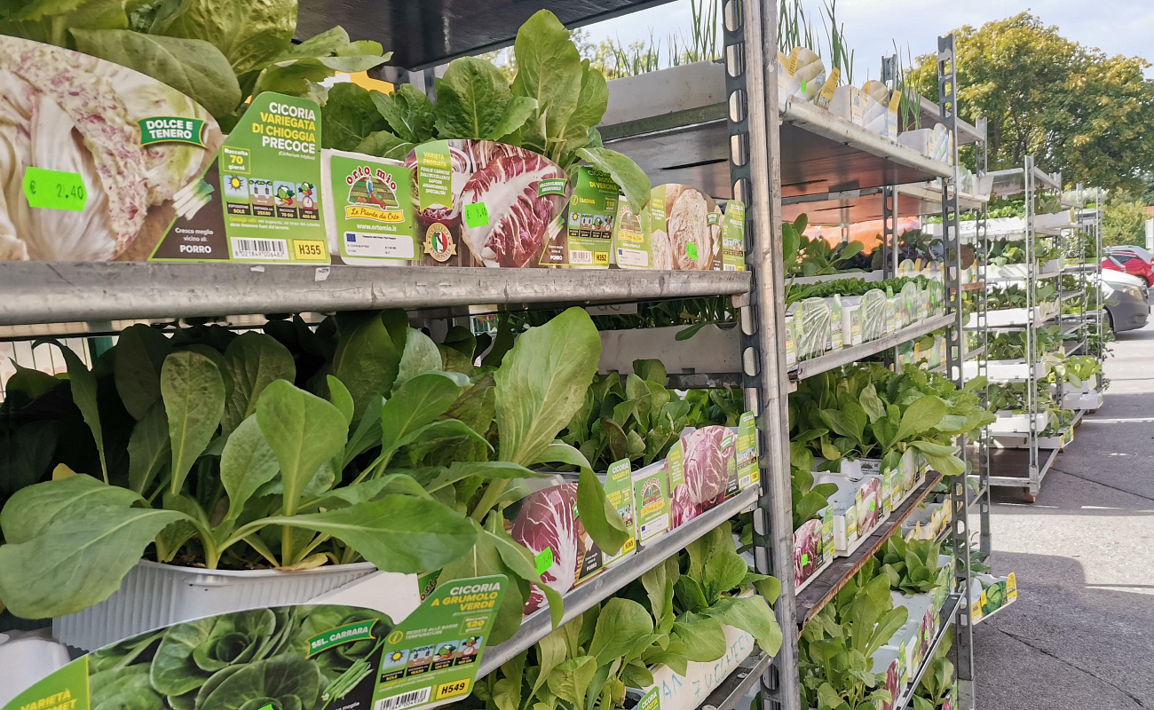 Negozio Agropreskrba,   | Sežana | Slovenia | Foto #2