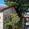 Weingut Skerlj,   | Tomaj | Slowenien | Foto #1