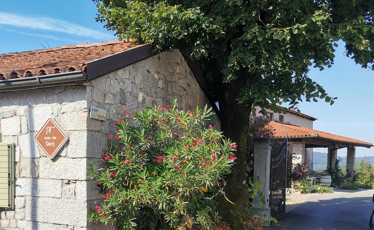 Weingut Skerlj,   | Tomaj | Slowenien | Foto #1