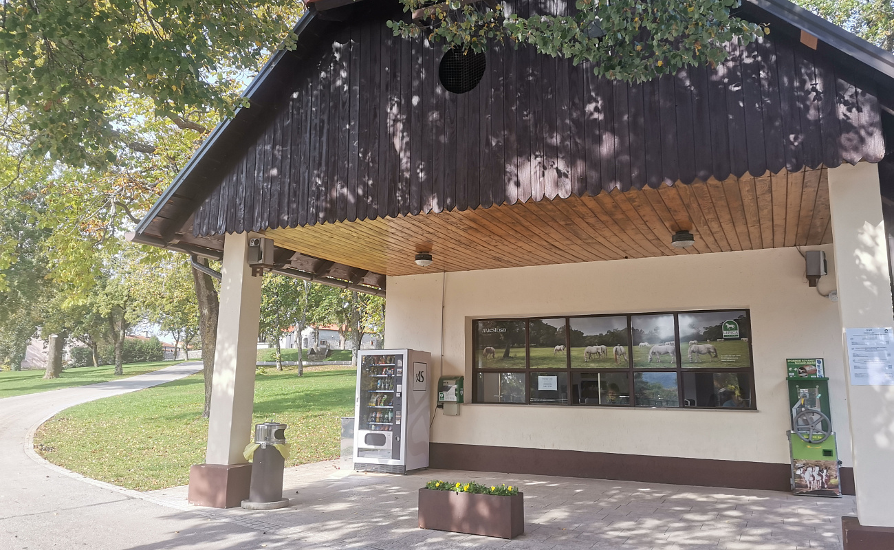 Stud Farm Lipica,   | Lipica | Slovenia | Image #1
