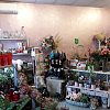 Flower shop IRIA,   | Dutovlje | Slovenia | Image #2
