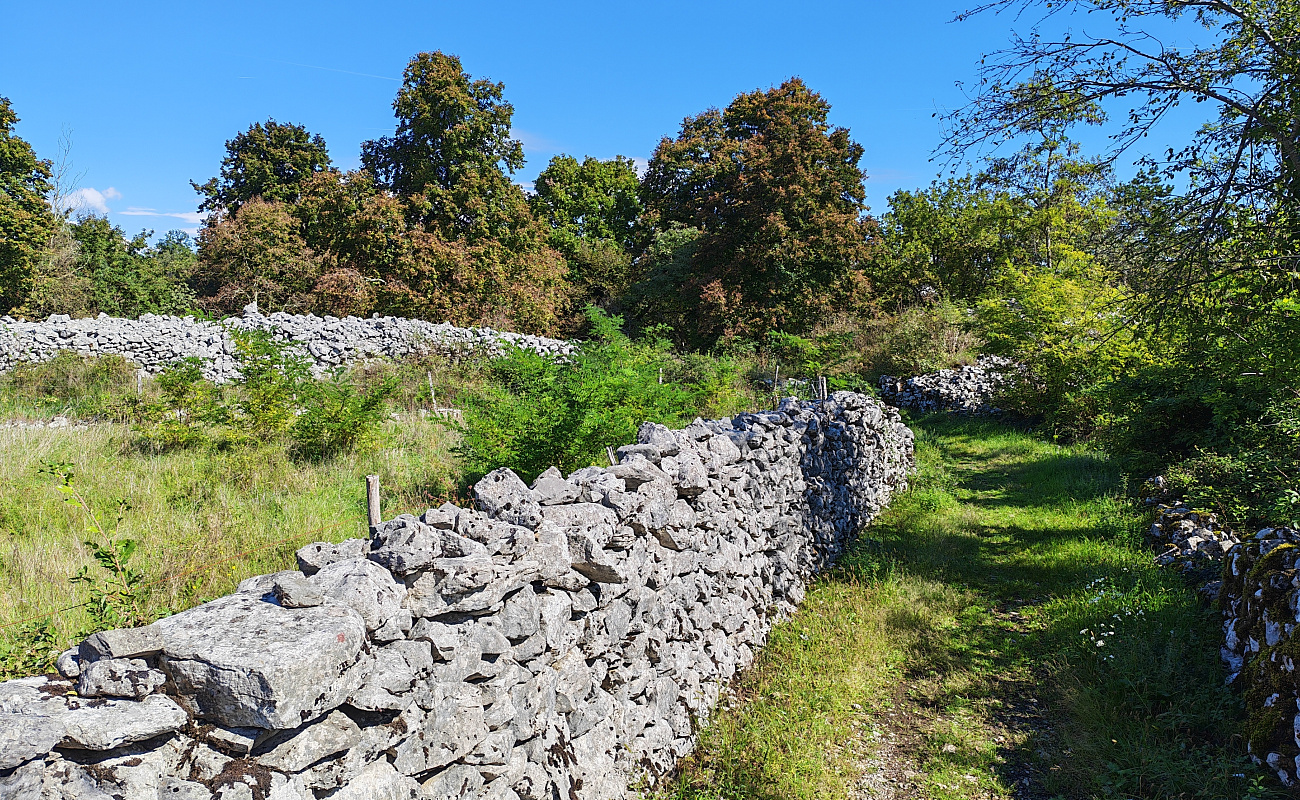 Gradišče Debela Griža,   | Gorjansko | Slovenija | Slika #5