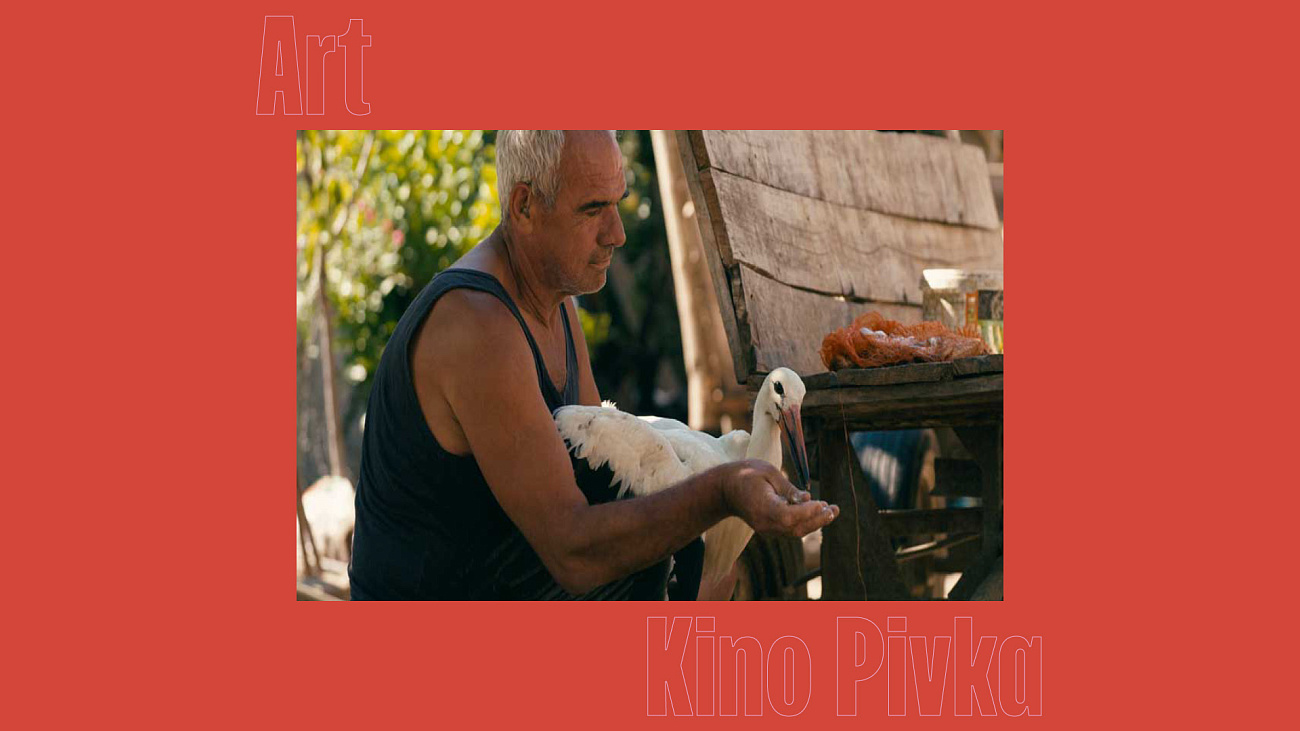 Povest o Siljanu / Prikaznata za Siljan | Kino | Pivka | Veranstaltungen | Foto #1