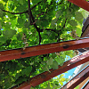 Imbiss Center,   | Sežana | Slowenien | Foto #3