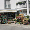 Flower shop Mojca,   | Sežana | Slovenia | Image #1