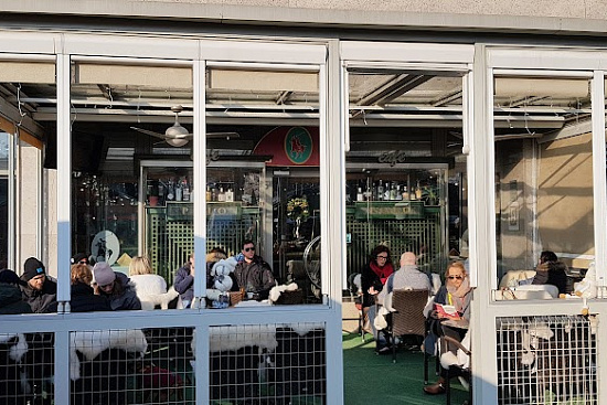 Cafe POLO |  Ljubljana |  Slovenia