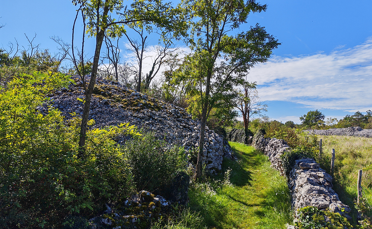 Gradišče Debela Griža,   | Gorjansko | Slovenija | Slika #4