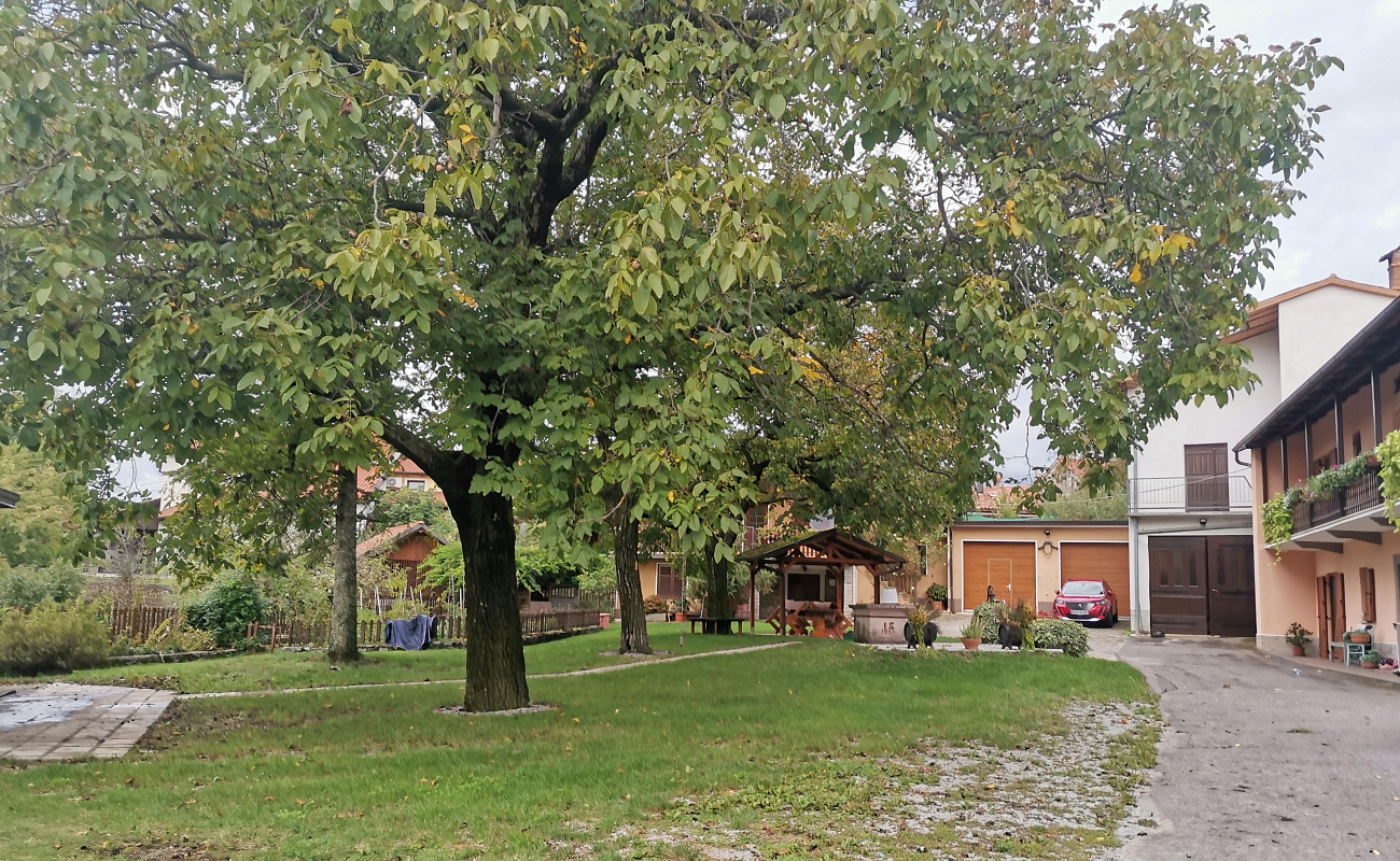 Vinarstvo Seražin,   | Kazlje | Slovenija | Slika #2