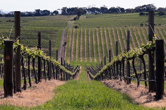 POSTAVITEV KLOPOTCEV |  Mostra |  Avber |  Eventi