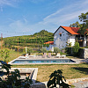Weingut Skerlj,   | Tomaj | Slowenien | Foto #5
