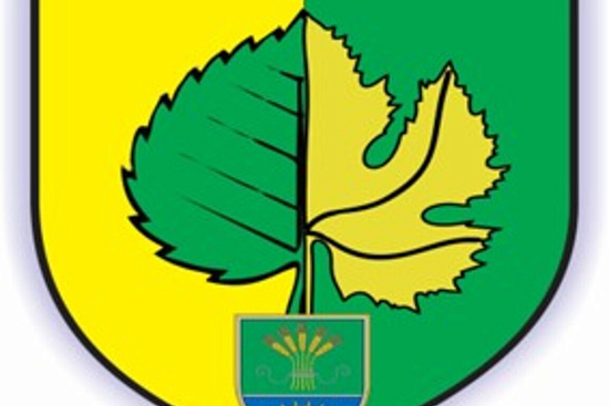 Mednarodni turnir v kegljanju s kroglo na vrvici |  Sport |  Zlatoličje |  Eventi