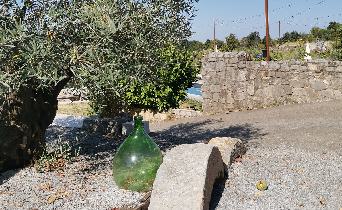 Weingut Skerlj,   | Tomaj | Slowenien | Foto #7