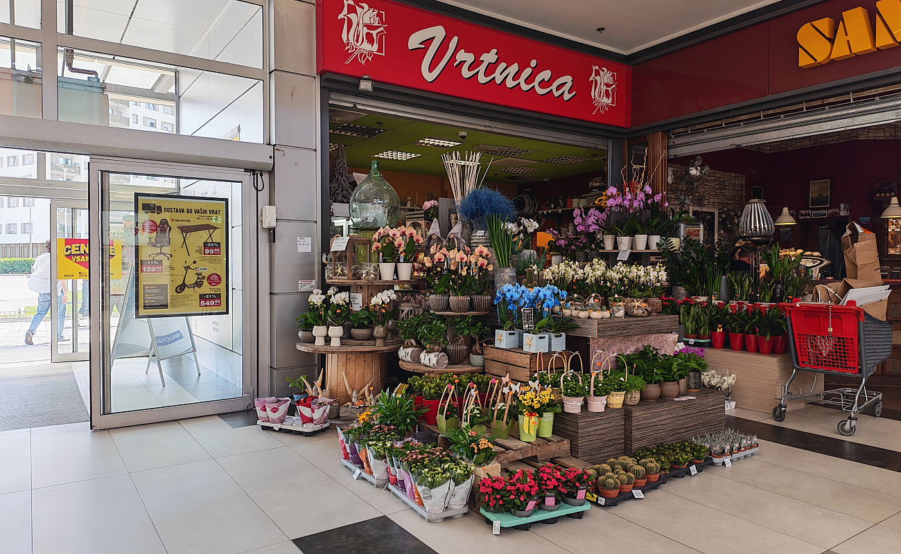 Fioraio Vrtnica,  Supernova Mercator center Capodistria | Capodistria | Slovenia | Foto #1