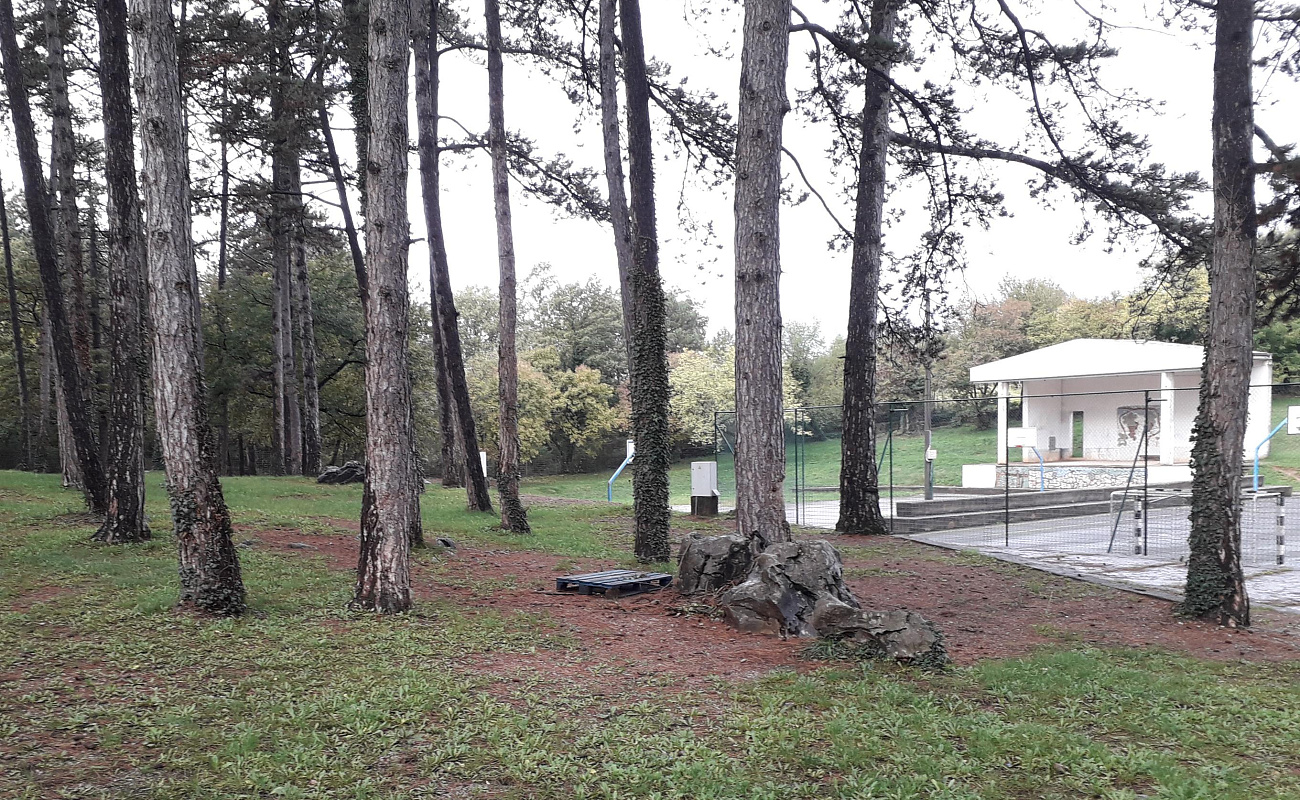 Pod borovci v Dutovljah,   | Dutovlje | Словения | Фото #3