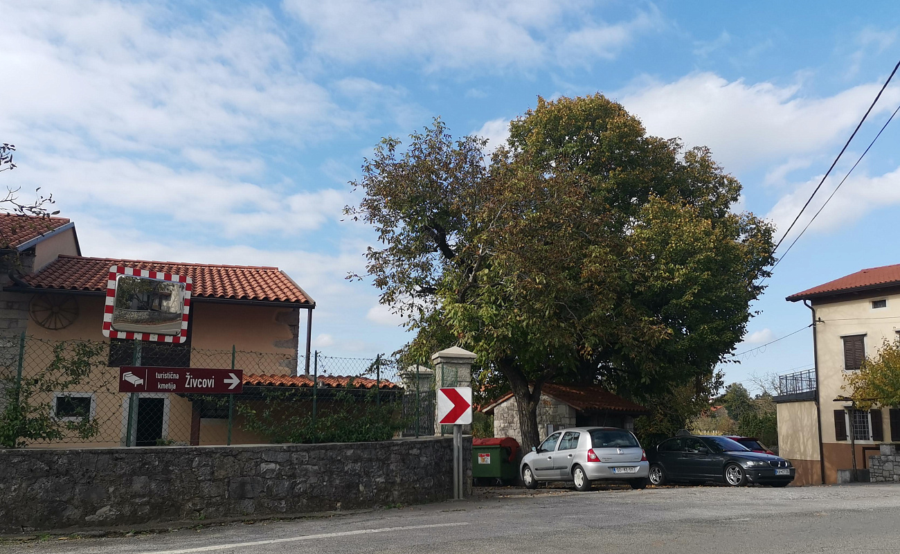 Pri Živcovih,   | Skopo | Slowenien | Foto #4